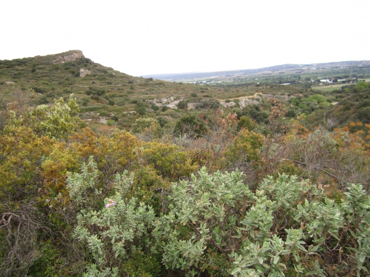 Vue d'ensemble des lieux ou se font les belles randos de SERNHAC 