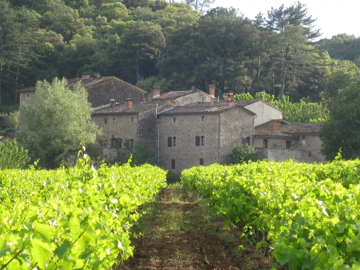 Mas du Pont - Tornac