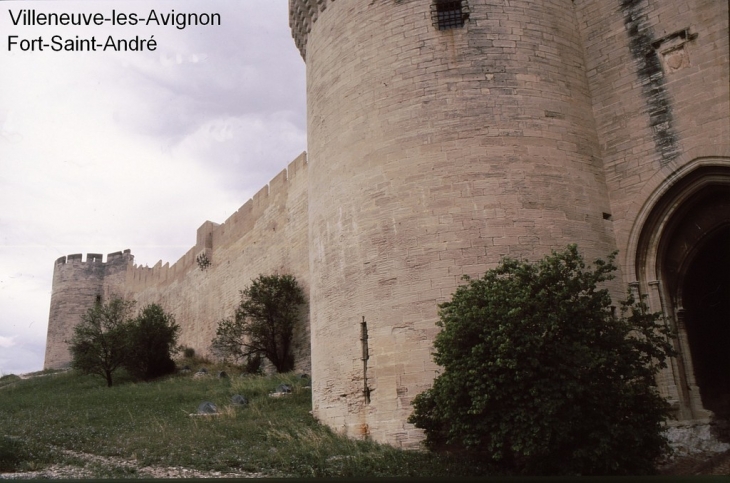 Le fort - Villeneuve-lès-Avignon