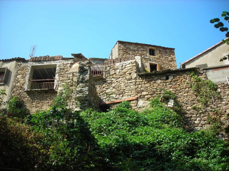 Photo à Camplong (34260) Camplong, 6548