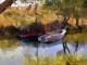 Une ballade en barque sur les bayous de l'étang de l'Or