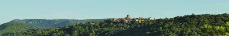Vue large du village - Carlencas-et-Levas