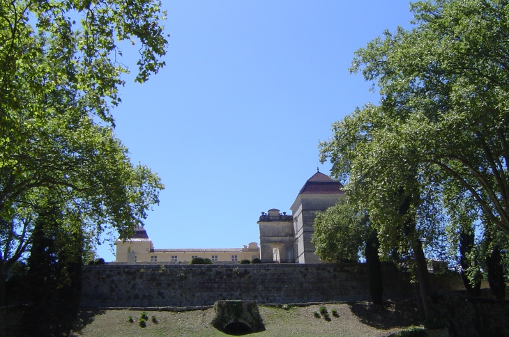 Le château vu de son parc - Castries