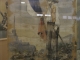 Musée de Cruzy