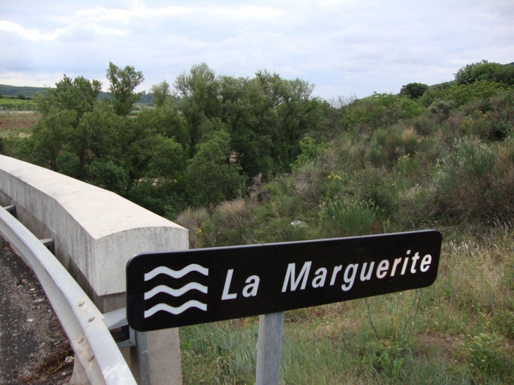 Lacoste (34800) la Marguerite