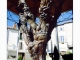L'arbre du Caylar - Sculpture de Michel Chevray - 1988-1989 (carte postale 1990).