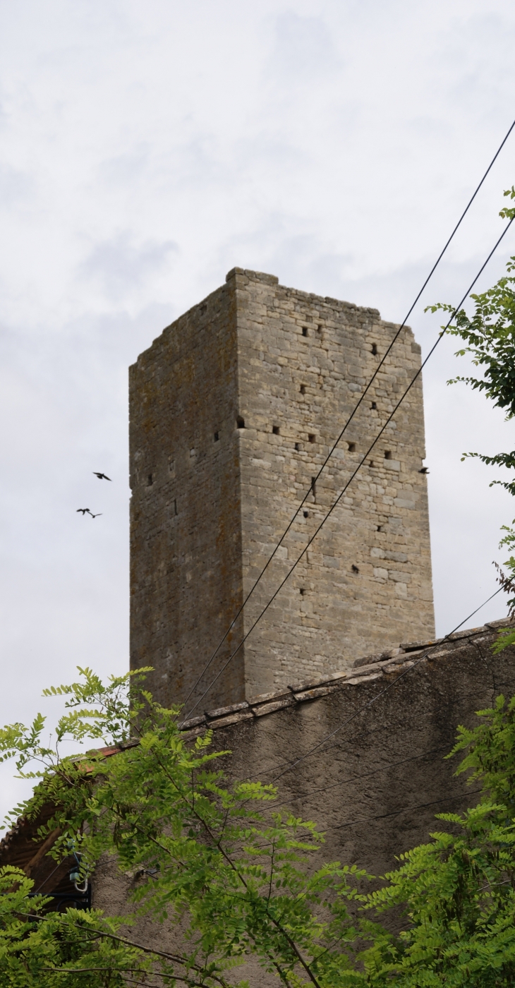 La Tour (vestige d'un Ancien Château ) - Montady