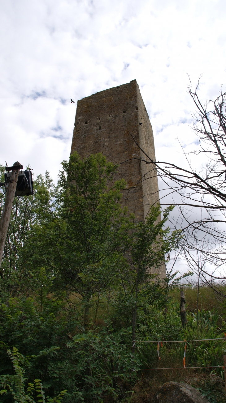 La Tour (vestige d'un Ancien Château ) - Montady