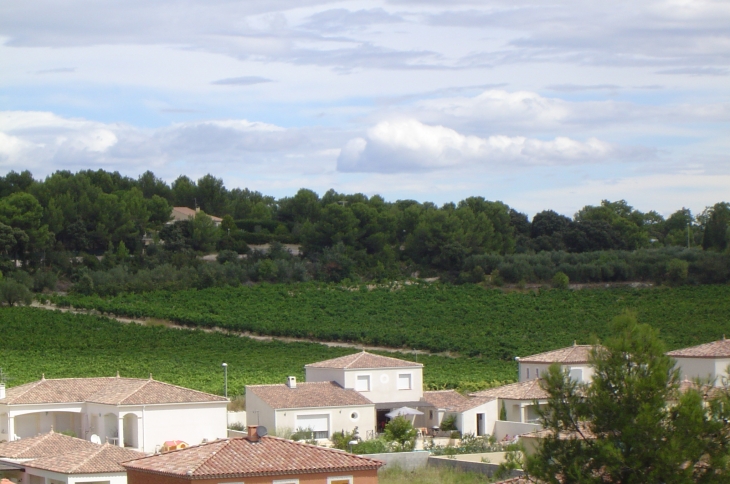 Maisons et vignes - Saint-Geniès-des-Mourgues