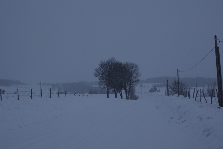 PLATEAU ENNEIGÉ - Allenc