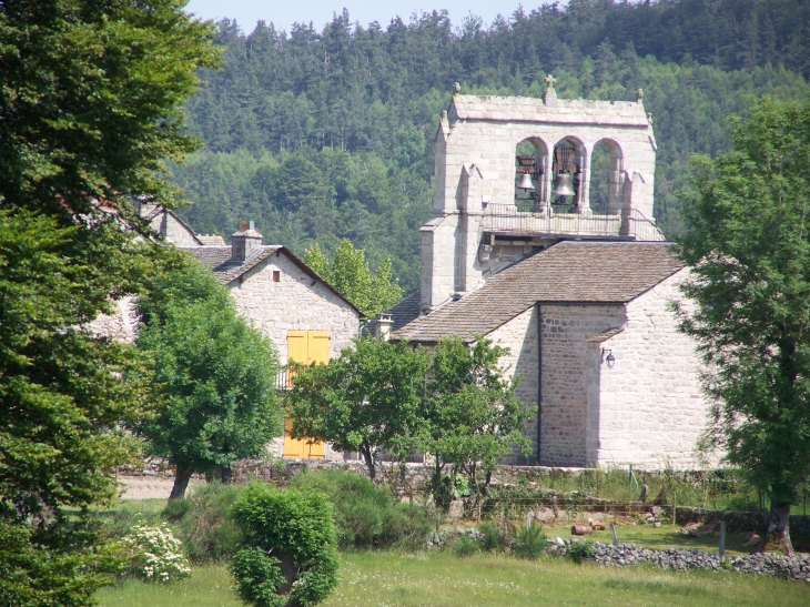 église Saint-Martin clocher à peigne XIIIème - Fau-de-Peyre