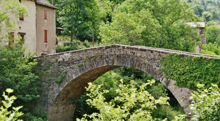Pont-vieux sur La Mimente - Florac