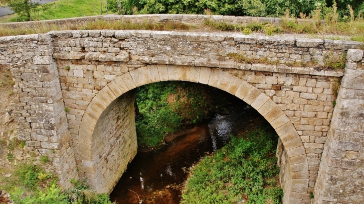 Pont Vieux sur le Langouyrou - Langogne