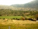 Sur les pentes du Mont Lozère, vache de race Aubrac (D20).