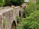 Photo précédente de Rousses pont sur le Tarnon