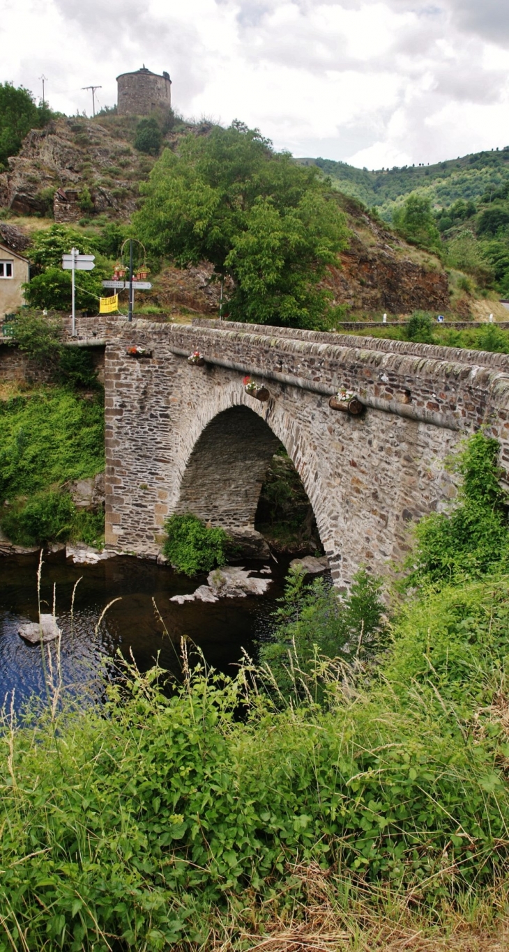 Pont sur la Mimente - Saint-Julien-d'Arpaon