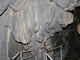 Photo précédente de Arles-sur-Tech grotte-des-trabucayres-stalagtites-gorges-de-la-fou