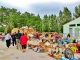 VIDE GRENIER