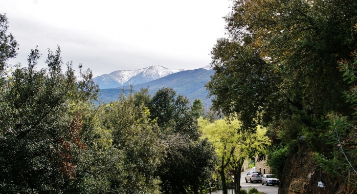 La Montagne enneigée - Casefabre