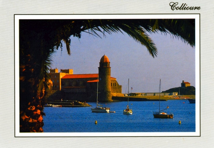 Vue sur le port, (carte postale de 1990). - Collioure