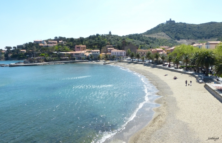 Collioure. La plage.