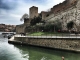 Vue sur le château de Collioure