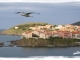 Photo suivante de Collioure  Survol de Collioure par une Mouette