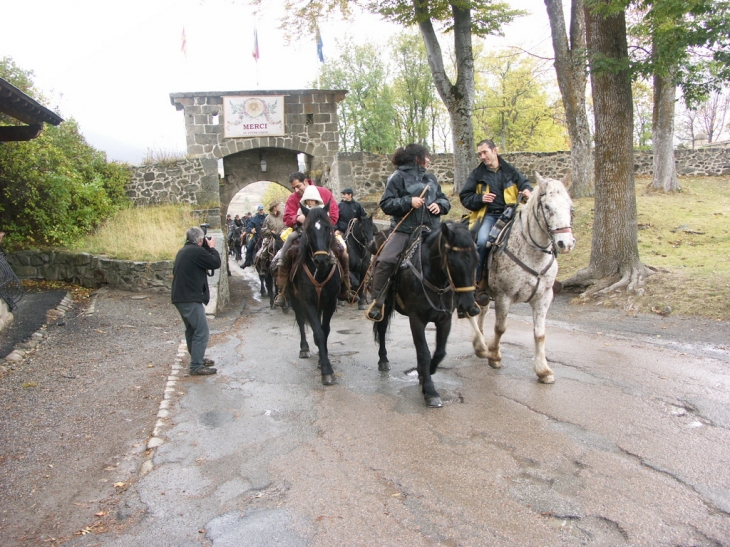 Chevaux méres - Mont-Louis