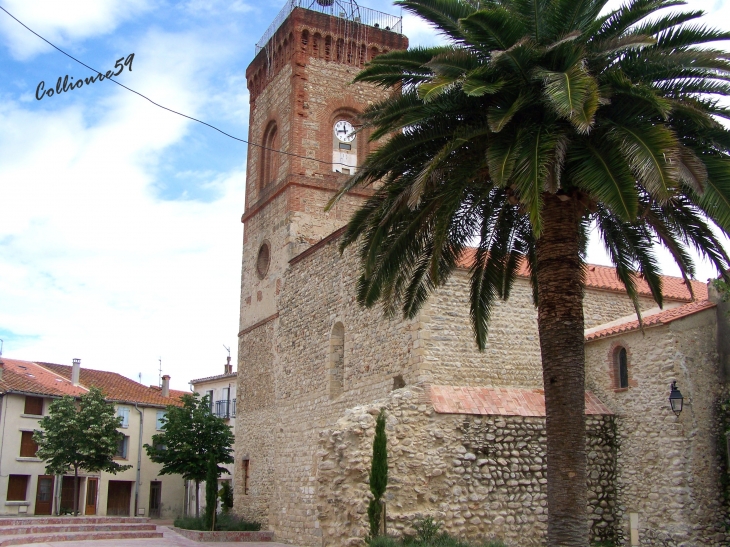 Photo à PalaudelVidre (66690) PalaudelVidre, 79899