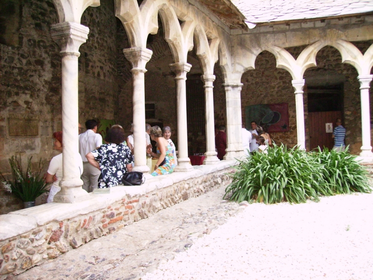 Cloitre du monstir del camp - Passa
