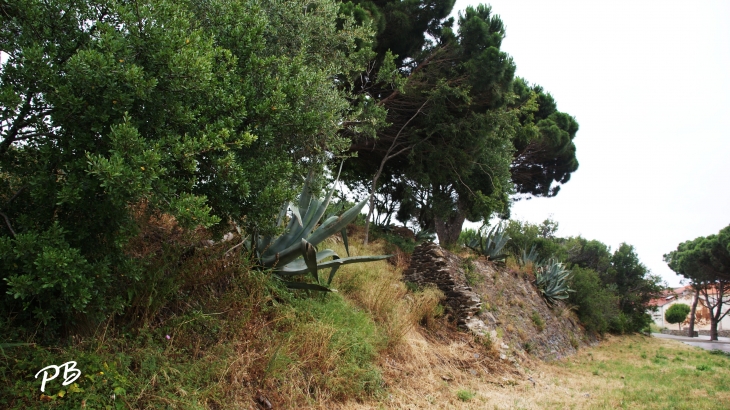  - Port-Vendres