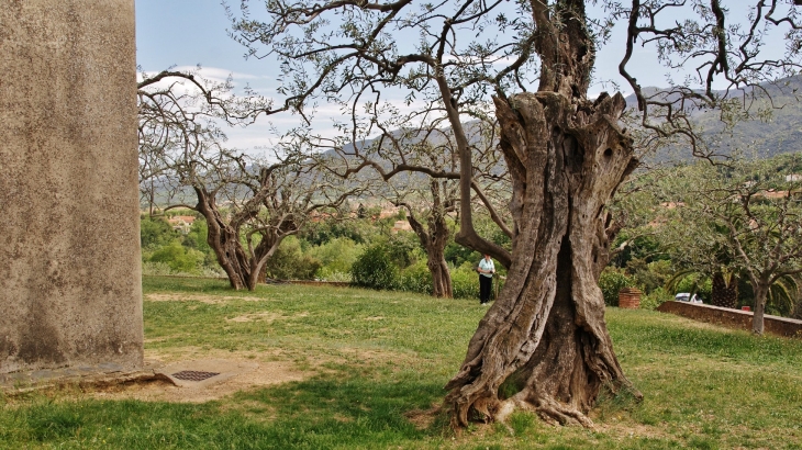 Le Pont commune de Reynes ( Chapelle St Paul ) - Reynès