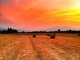 Photo précédente de Saint-Génis-des-Fontaines Coucher de soleil sur champs de blé