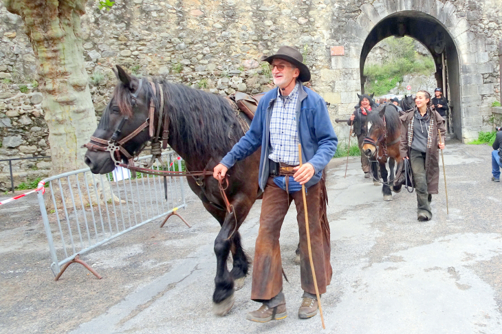 Arrivé des chevaux de race merens a villefranche lors de leur transhumance d'argeles au puymorens - Villefranche-de-Conflent