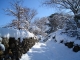 Photo suivante de Villelongue-dels-Monts Petit chemin un jour de fin d'hiver