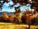 Paysage de Villelongue dels monts en automne avec vue sur les Albères