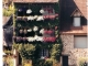 Photo suivante de Beaulieu-sur-Dordogne maison fleurie