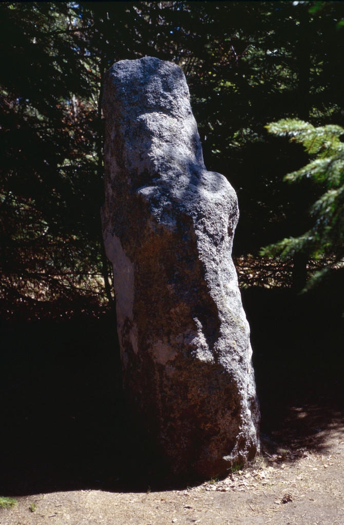 Chadebec, le menhir du Pilard, avril 1997. - Bonnefond