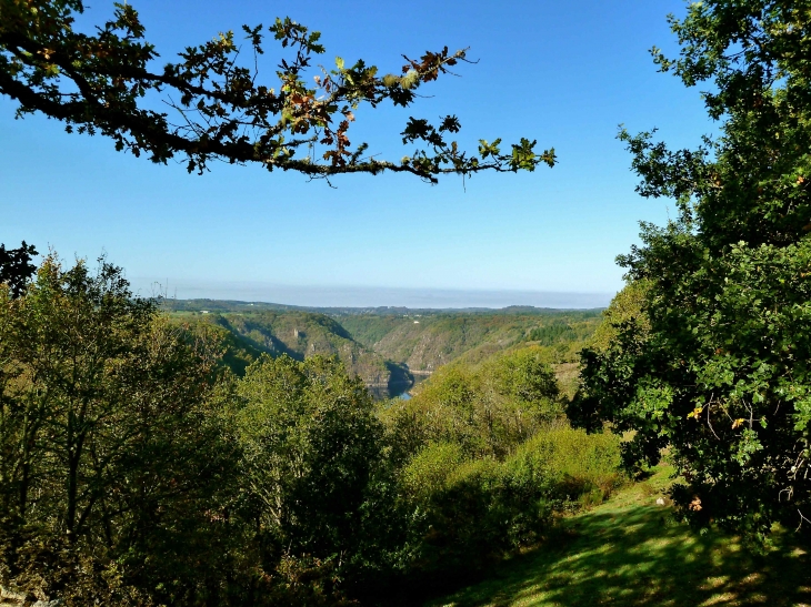 Aux alentours. Au loin les gorges de la Dordogne. - Bort-les-Orgues
