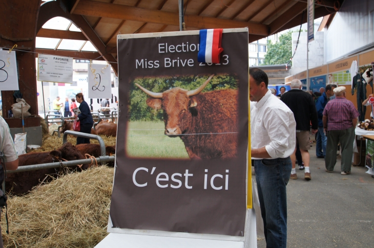 Le Festival de l'élevage 2013. - Brive-la-Gaillarde