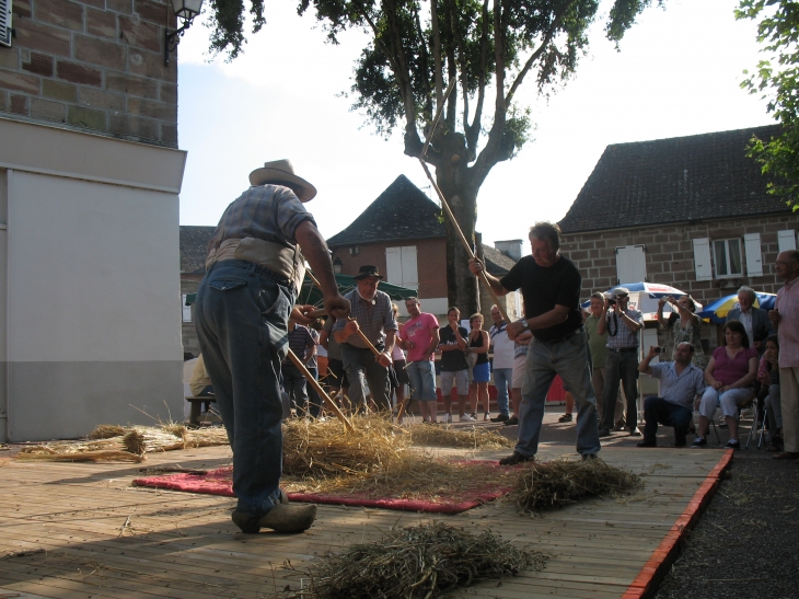 Préparation du concours de battage au fléau  du dimanche 5 août au Puy-Grand - Chamboulive