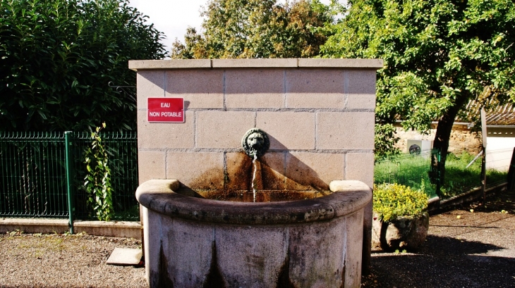 Fontaine - Champagnac-la-Noaille