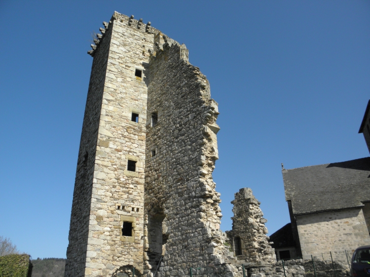 Les ruines du château dont subsiste une seule tour - Cornil