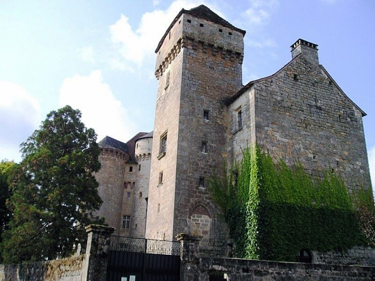 Château Saint Hilaire - Curemonte
