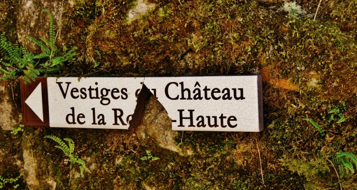 Vestiges du Château - Gimel-les-Cascades