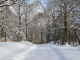 Promenade dans l neige près de Goulles