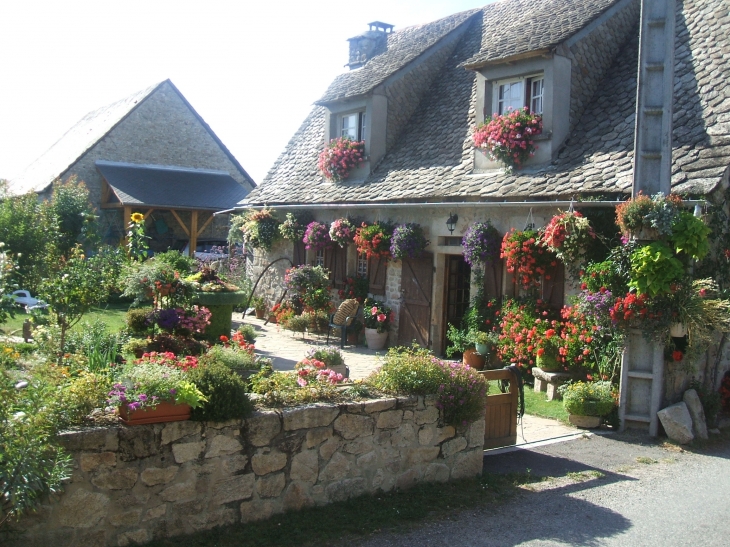 Maison fleurie au village de Couffinier Gros Chastang - Gros-Chastang
