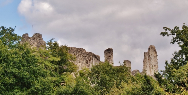 Ruines du Château - Moustier-Ventadour
