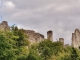 Photo suivante de Moustier-Ventadour Ruines du Château