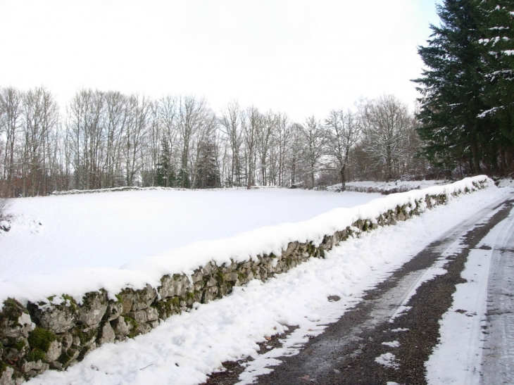 Rotabourg - Roche-le-Peyroux